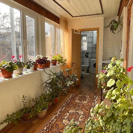 Gulnara Guest House Balıkçı Dış mekan fotoğraf