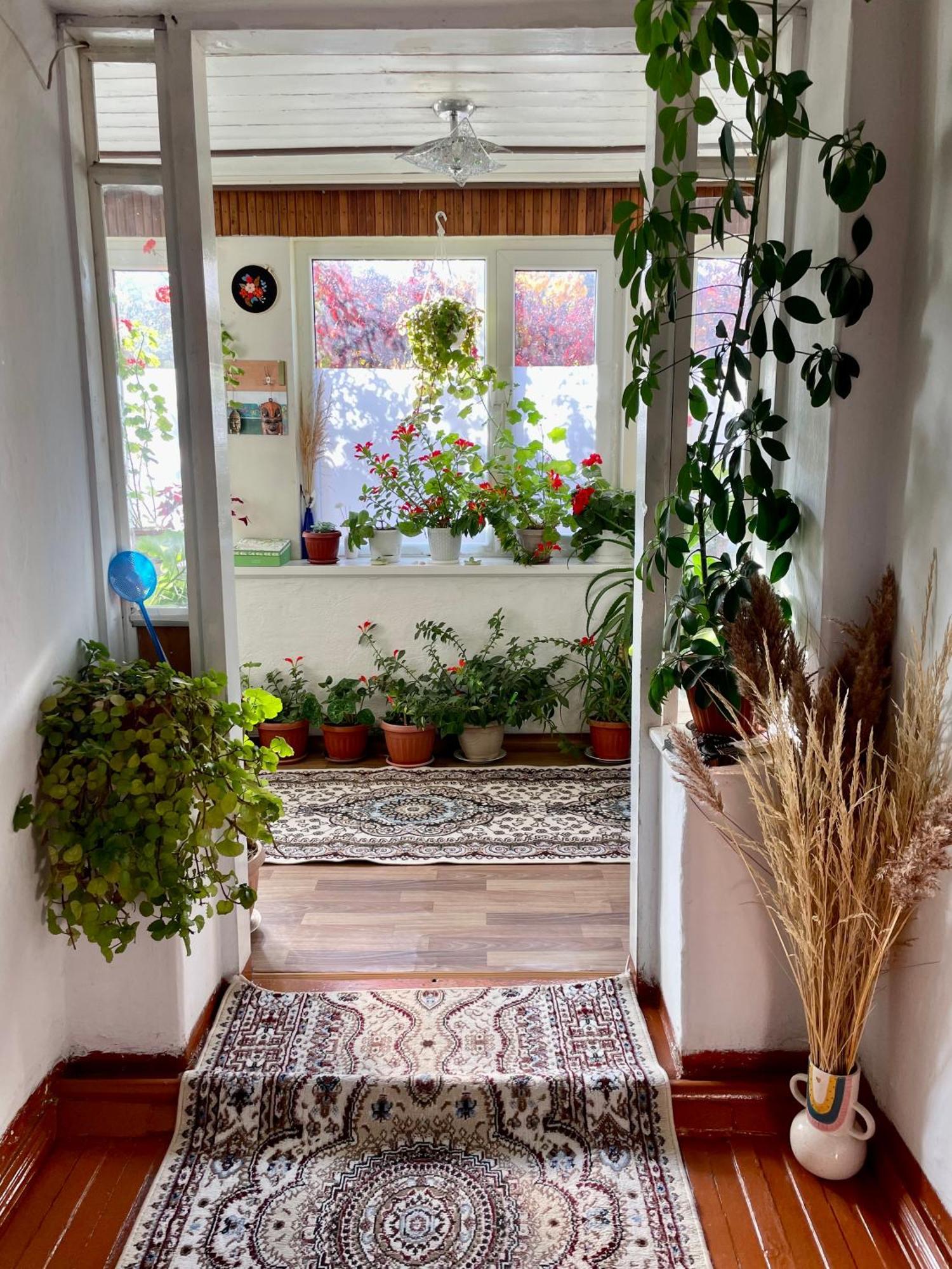 Gulnara Guest House Balıkçı Dış mekan fotoğraf