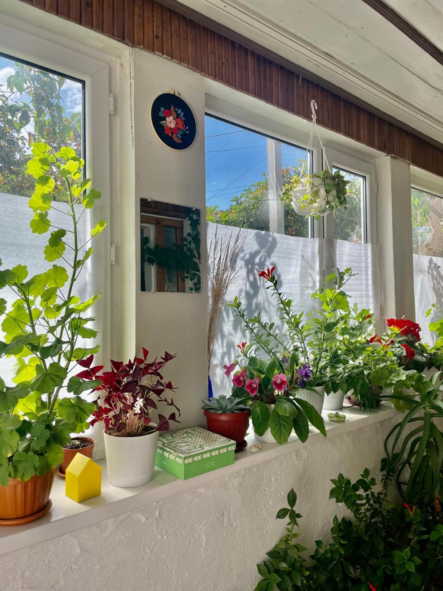 Gulnara Guest House Balıkçı Dış mekan fotoğraf